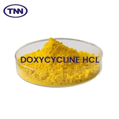 Doxycycline HCl cho thị trường Nigeria